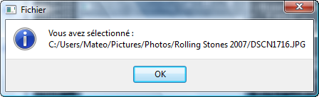 Le fichier sélectionné s'affiche