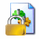 Icône fichier locké