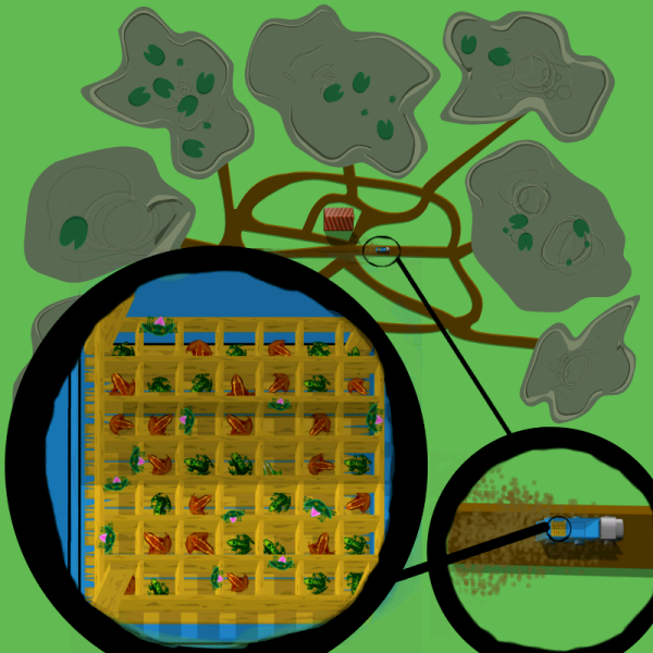 la situation en image