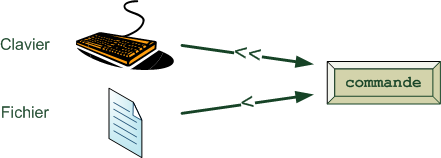 Les différents flux d'entrée