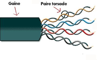 Câble à paires torsadées