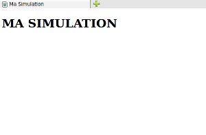 aperçu du mini site 01