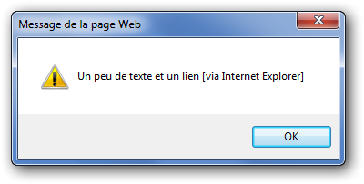 La fenêtre s'affiche avec Internet Explorer