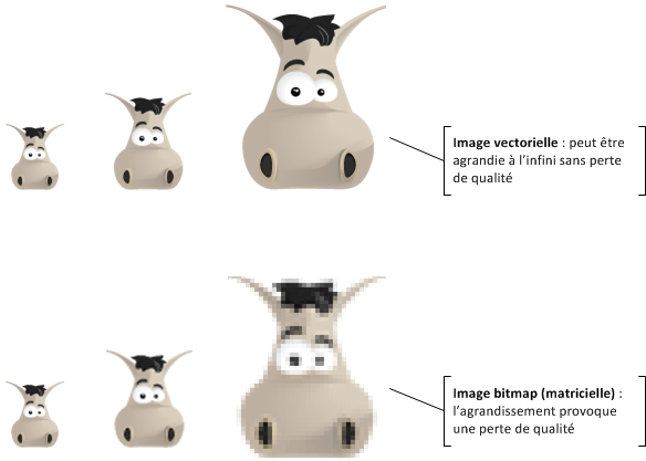 Image bitmap et image vectorielle