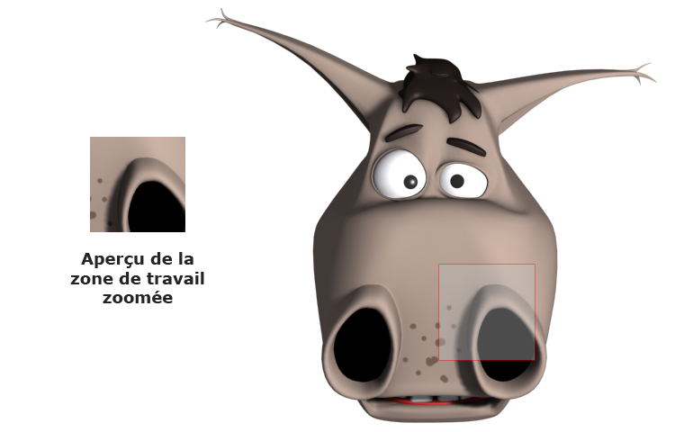 Schéma Zoom déplacé