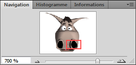 Fenêtre de Navigation - Zozor