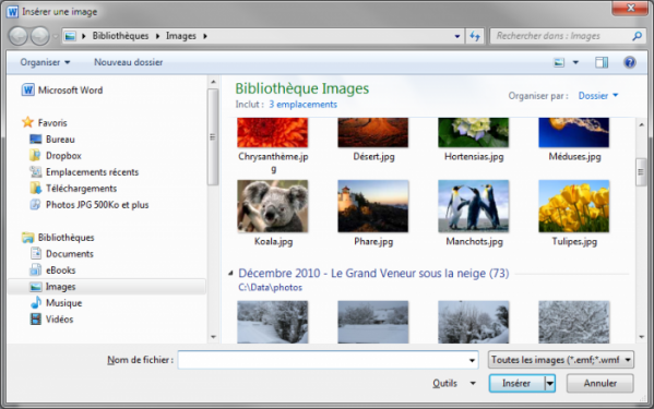 Le contenu de la bibliothèque Images