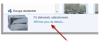 Le lien Afficher plus de détails
