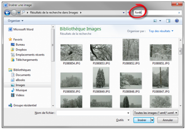 Filtrage du dossier à l'aide d'un mot-clé