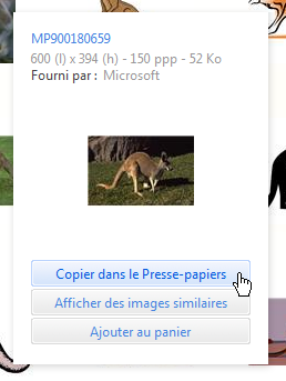 L'image est sur le point d'être copiée dans le presse-papiers