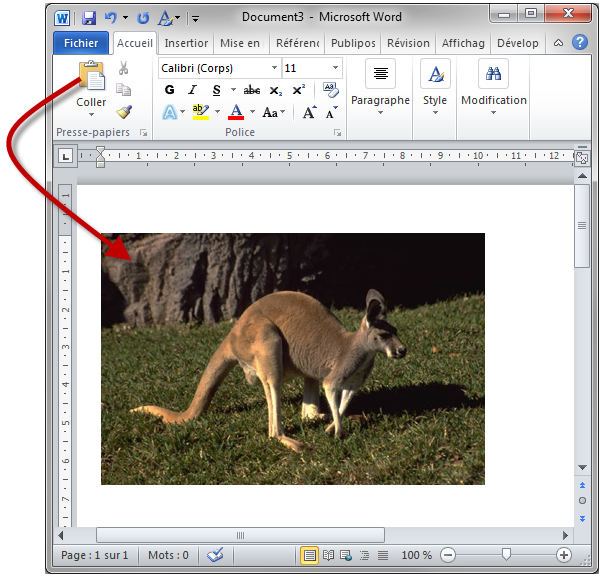 L'image est collée dans Word