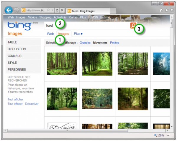 Recherche d'une illustration dans Bing