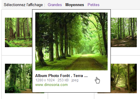 L'image est agrandie et affiche plusieurs informations