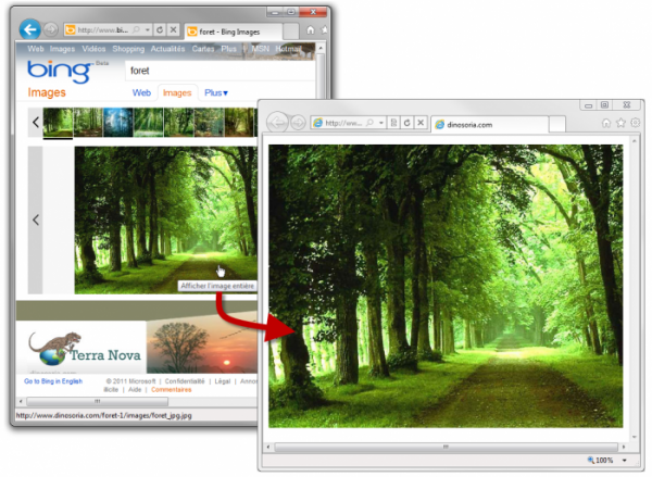 L'image est affichée dans le navigateur