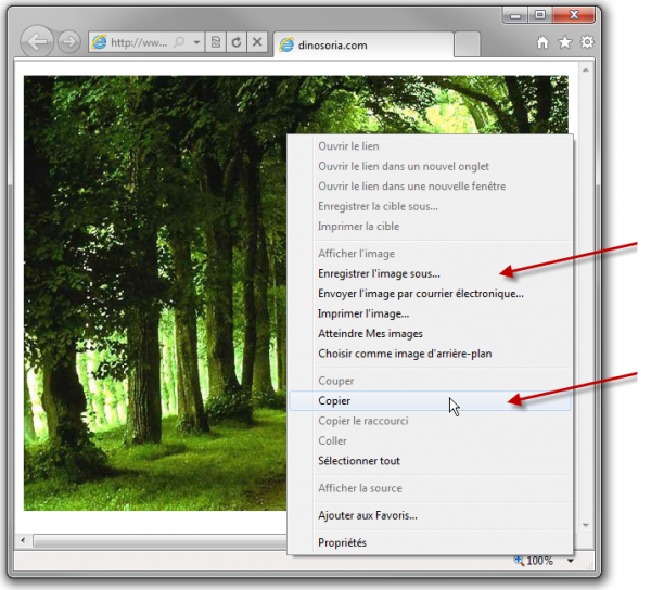Que voulez-vous faire de l'image ?