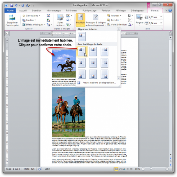 Choix d'une disposition pour l'image