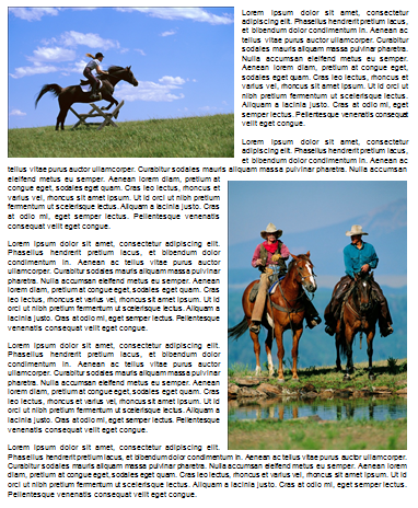 Quelle est, selon vous, la technique utilisée ?