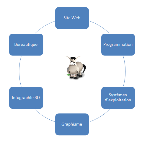Le graphique à reproduire