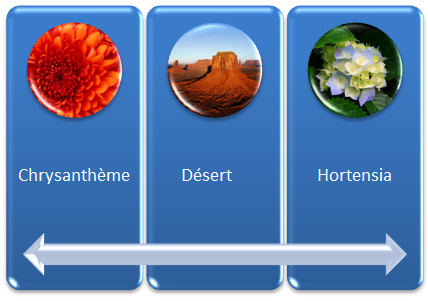 Des images ont été insérées dans les formes