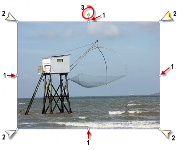 Des ronds et carrés sont affichés sur le pourtour de l'image sélectionnée