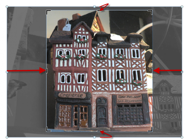 Les quatre bords de l'image ont été rognés