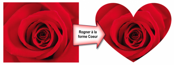 Une rose dans un cœur. Quelle imagination !