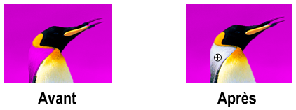 La sélection automatique de l'avant-plan a été corrigée