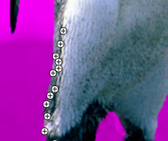 Plusieurs retouches ont été nécessaires