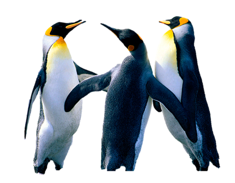 L'arrière-plan a disparu