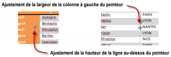 Redimensionnement à vue des lignes et colonnes