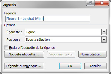 Définition d'une légende d'image