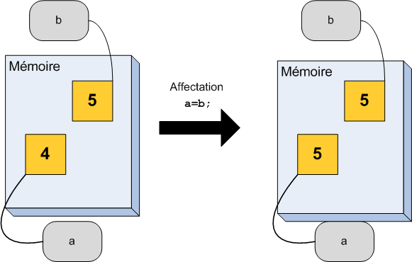 Affectation d'une variable à une autre