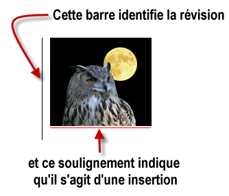 Deux indices montrent que l'image a été insérée