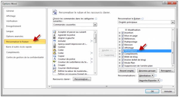 Ajout de l'onglet Développeur dans le Ruban