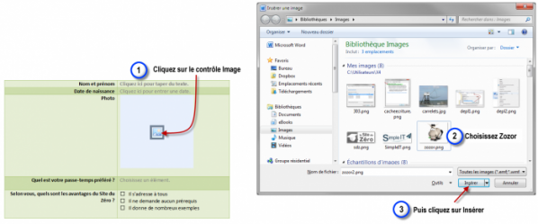 Insertion de l'image de Zozor dans le contrôle Image