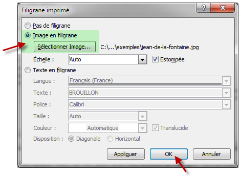 Insertion du filigrane image