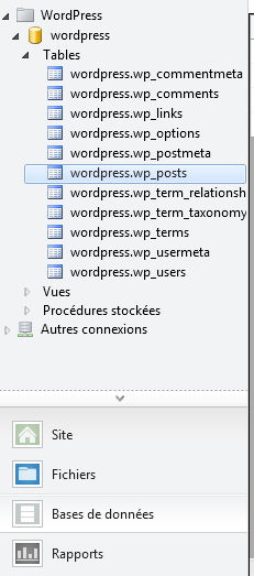 Base de données Wordpress