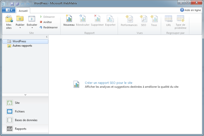 Fenêtre rapports WebMatrix