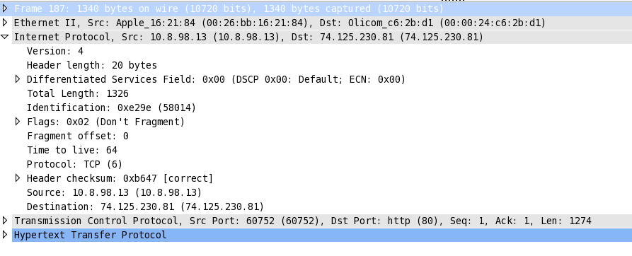 En-tête IP wireshark