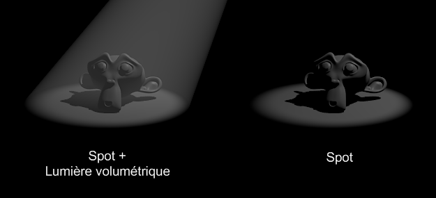 Suzanne sous les projecteurs !