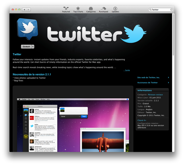L'application Twitter dans l'App Store