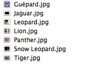 Une liste de fichiers .jpg