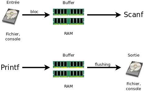 Buffer des flux en C