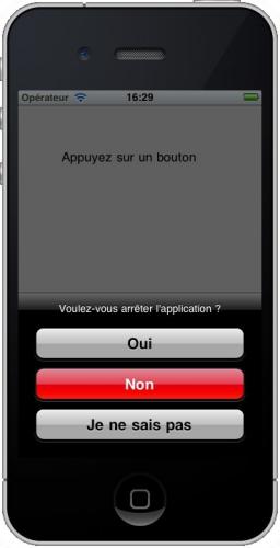 L'application lancée dans le simulateur