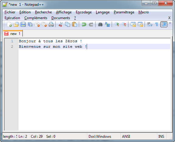 Du texte dans Notepad++