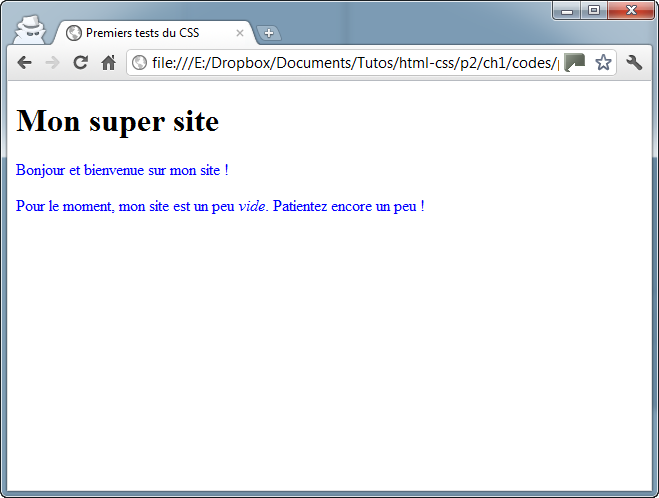 Le texte est écrit en bleu