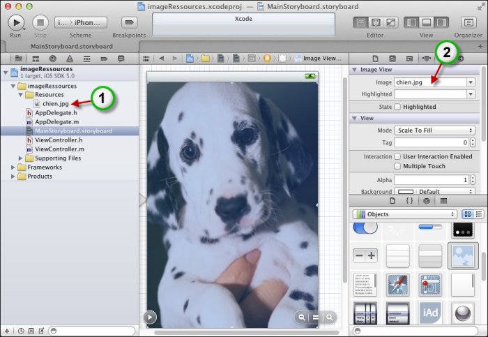 L'image est accessible dans la propriété Image