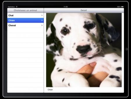 L'application est terminée et fonctionne