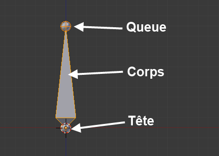 L'armature par défaut n'est faite que d'un seul os