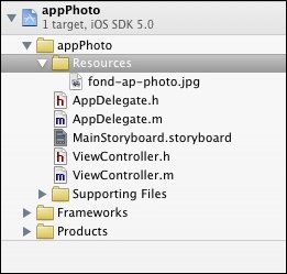 Le volet de navigation du projet